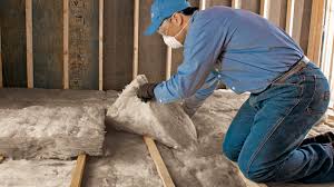 Best Insulation for New Construction  in Pleasant Hill, IA